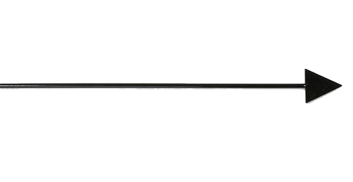 Boton ir